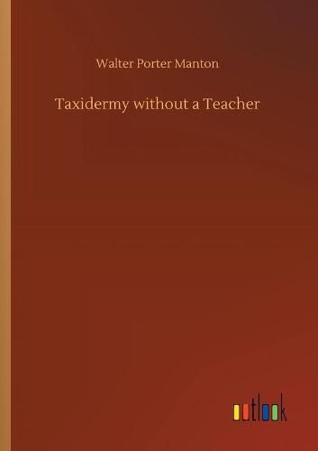 Taxidermy without a Teacher