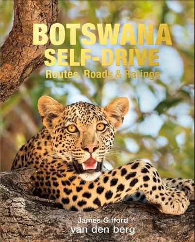 Cover image for Botswana Self-Drive