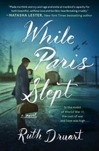 Cover image for While Paris Slept