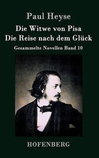 Cover image for Die Witwe von Pisa / Die Reise nach dem Gluck: Gesammelte Novellen Band 10