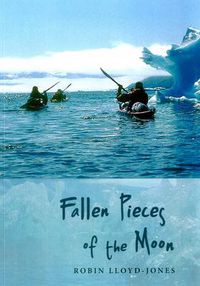 Cover image for Fallen Pieces of the Moon