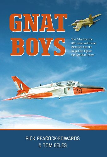 Cover image for Gnat Boys