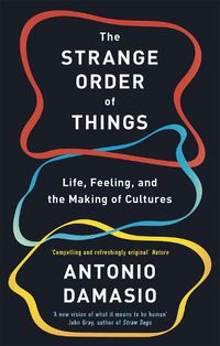 Cover image for The Strange Order Of Things: Life, Feeling and the Making of Cultures
