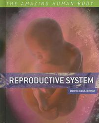 Cover image for Reproductive System