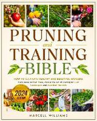 Cover image for Pruning and Training Bible