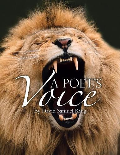 Cover image for A Poet's Voice