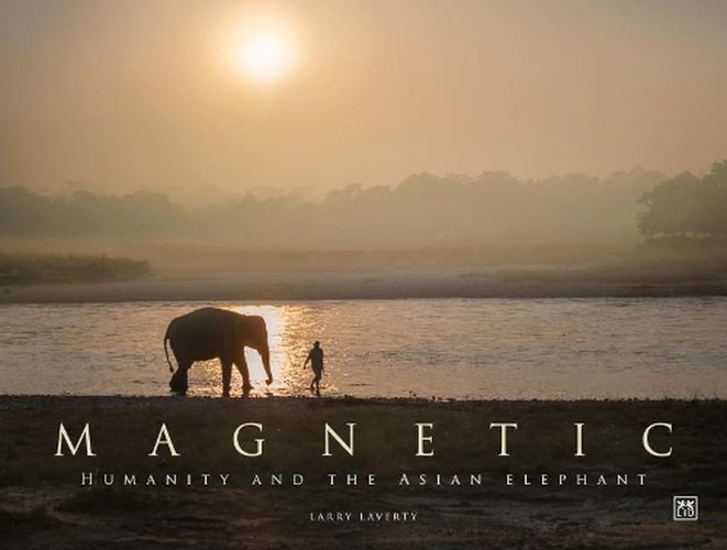 Cover image for Magnetic