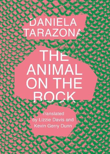 Cover image for The Animal on the Rock