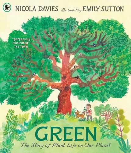 Cover image for Green: The Story of Plant Life on Our Planet