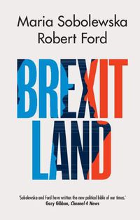 Cover image for Brexitland: Identity, Diversity and the Reshaping of British Politics