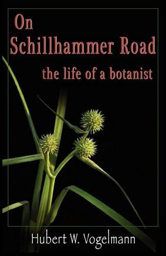 Cover image for On Schillhammer Road