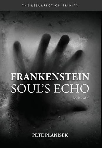 Cover image for Frankenstein Soul's Echo: (Book 2 of 3) The Resurrection Trinity