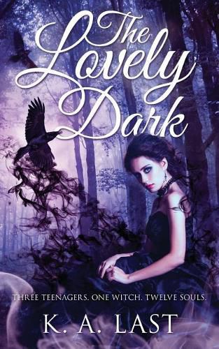 Cover image for The Lovely Dark