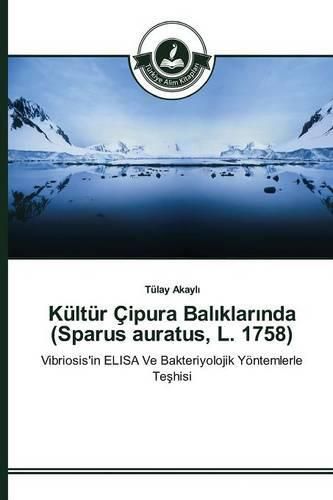 Kultur Cipura Bal&#305;klar&#305;nda (Sparus auratus, L. 1758)