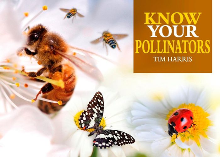 Cover image for Know Your Pollinators