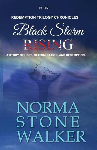 Cover image for Black Storm Rising