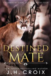 Cover image for Destined Mate