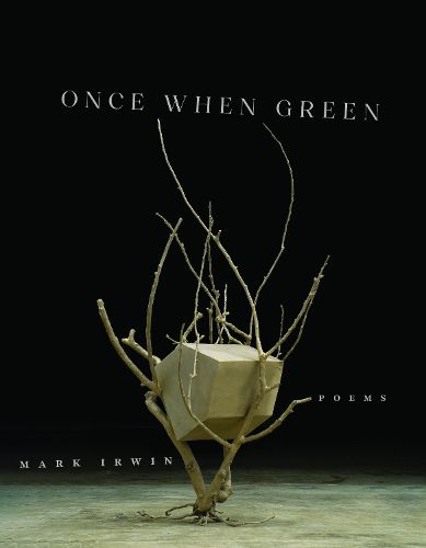 Cover image for Once When Green