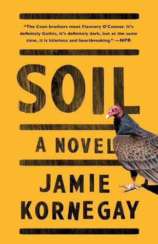 Cover image for Soil