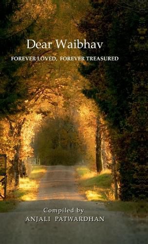 Cover image for Dear Waibhav