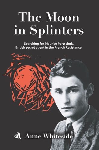 Cover image for The Moon in Splinters