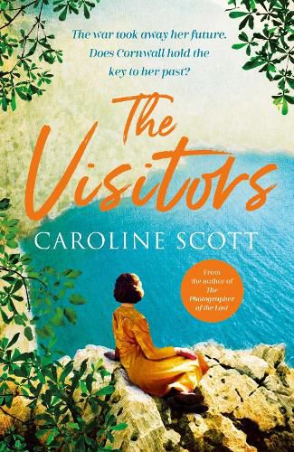 Cover image for The Visitors