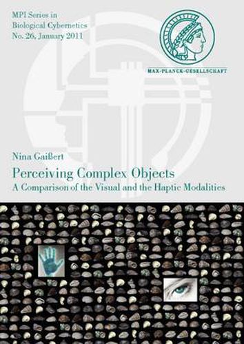 Cover image for Perceiving Complex Objects. a Comparison of the Visual and the Haptic Modalities