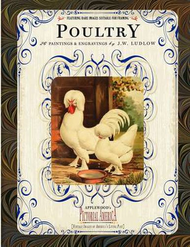 Cover image for Poultry: 26 Paintings and Engravings by J. W. Ludlow