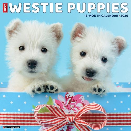 Cover image for Westie Puppies 2026 12 X 12 Wall Calendar