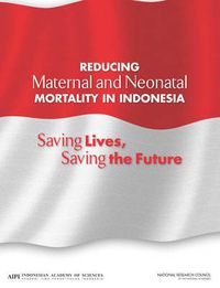 Cover image for Reducing Maternal and Neonatal Mortality in Indonesia: Saving Lives, Saving the Future