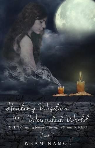 Cover image for Healing Wisdom for a Wounded World: My Life-Changing Journey Through a Shamanic School (Book 1)