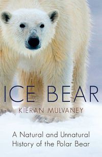 Cover image for Ice Bear: A Natural and Unnatural History of the Polar Bear
