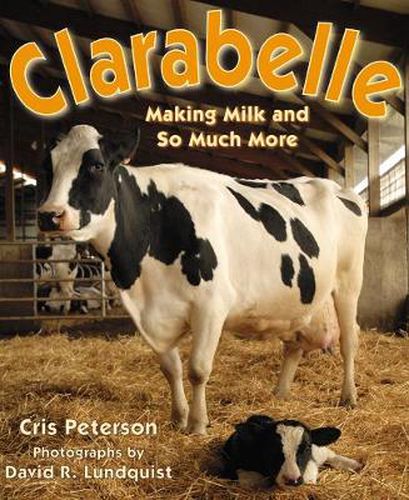 Cover image for Clarabelle: Making Milk and So Much More