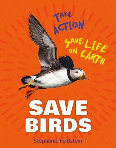 Cover image for Save Birds