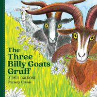 Cover image for The Three Billy Goats Gruff Board Book