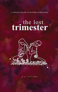 Cover image for The Lost Trimester