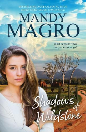 Cover image for Shadows of Wildstone