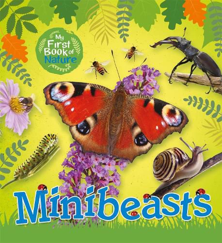 Cover image for My First Book of Nature: Minibeasts