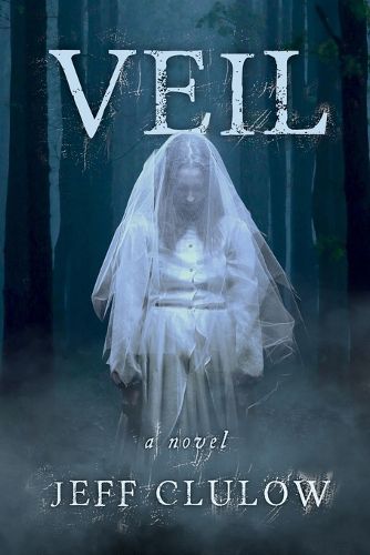 Cover image for Veil