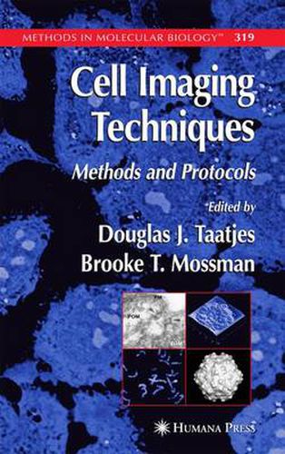 Cover image for Cell Imaging Techniques