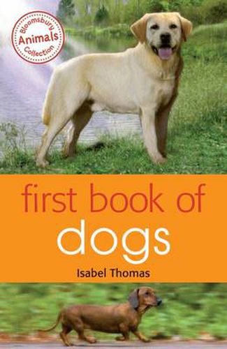 Cover image for First Book of Dogs