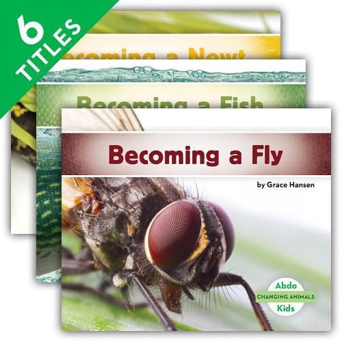 Cover image for Changing Animals Set 2