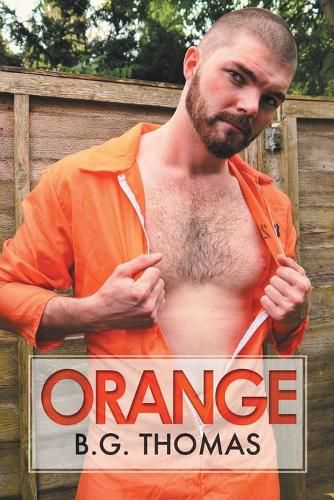 Cover image for Orange