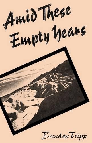 Cover image for Amid These Empty Years