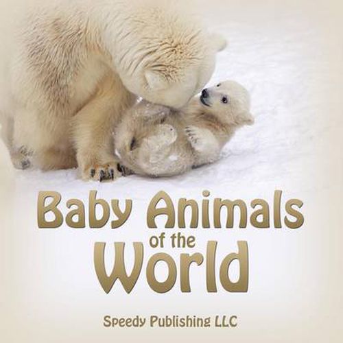 Cover image for Baby Animals of the World