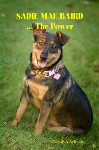 Cover image for SADIE MAE BAIRD ... The Power