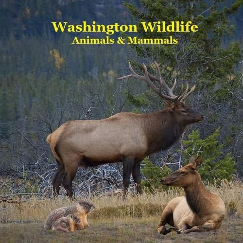Cover image for Washington State Animals and Mammals Kids Wildlife Book
