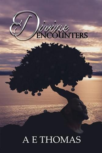 Cover image for Divine Encounters