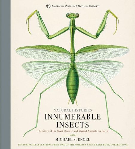 Cover image for Innumerable Insects: The Story of the Most Diverse and Myriad Animals on Earth