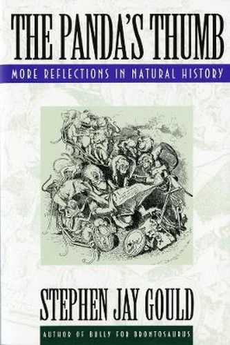 Cover image for The Panda's Thumb: More Reflections in Natural History